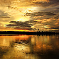 Amber Sunset