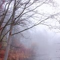 Autumn Fog