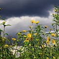 Keep Reaching for the Sun Amid the Dark Clouds