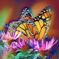 Modern Monarch