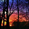 Rainbow Sunset