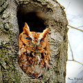 Whooo are You